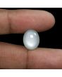 Moonstone 8.5 Carat 