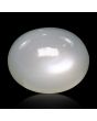 Moonstone 6.53 Carat 