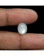 Moonstone 6.53 Carat 