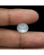 Moonstone 7.37 Carat 