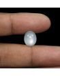 Moonstone 7.37 Carat 