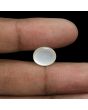 Moonstone 7.37 Carat 