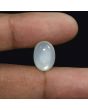 Moonstone 8.55 Carat 