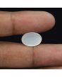Moonstone 8.55 Carat 