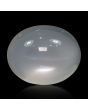 Moonstone 8.54 Carat 