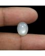 Moonstone 5.53 Carat 