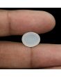 Moonstone 5.53 Carat 