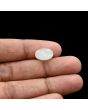 Moonstone 5.61 Carat 
