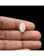 Moonstone 5.61 Carat 