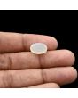 Moonstone 5.61 Carat 