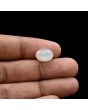 Moonstone 4.75 Carat 