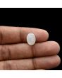 Moonstone 4.75 Carat 