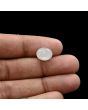 Moonstone 4.71 Carat 