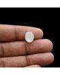 Moonstone 4.71 Carat 