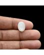 Moonstone 6.43 Carat 