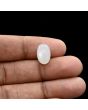 Moonstone 5.71 Carat 