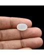 Moonstone 5.71 Carat 