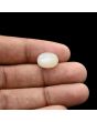 Moonstone 5.05 Carat 
