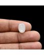 Moonstone 5.16 Carat 