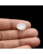 Moonstone 5.68 Carat 