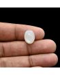 Moonstone 5.68 Carat 