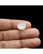 Moonstone 4.8 Carat 