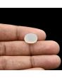 Moonstone 4.8 Carat 