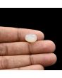 Moonstone 6.38 Carat 