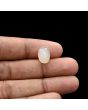 Moonstone 6.38 Carat 