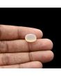 Moonstone 6.38 Carat 