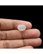 Moonstone 6.28 Carat 