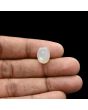 Moonstone 6.28 Carat 