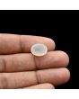 Moonstone 6.28 Carat 