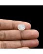 Moonstone 5.16 Carat 