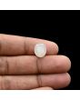 Moonstone 5.16 Carat 
