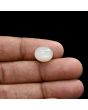 Moonstone 5.71 Carat 