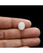Moonstone 5.71 Carat 