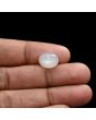 Moonstone 5.55 Carat 