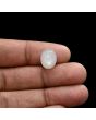 Moonstone 5.55 Carat 