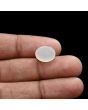 Moonstone 5.55 Carat 