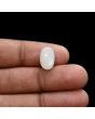 Moonstone 5.54 Carat 