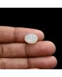 Moonstone 5.58 Carat 