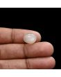 Moonstone 5.87 Carat 