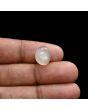Moonstone 5.87 Carat 