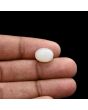 Moonstone 5.62 Carat 