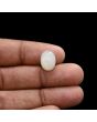 Moonstone 5.62 Carat 