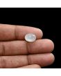Moonstone 4.8 Carat 