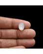 Moonstone 4.8 Carat 