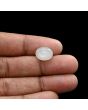 Moonstone 4.95 Carat 