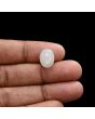 Moonstone 4.95 Carat 